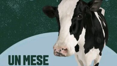 i vegani al governo e la carne vietata